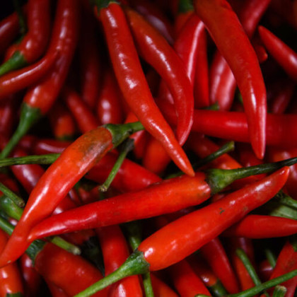 Острая еда поможет продлить жизнь, заявили учёные