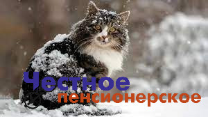 Снег и дожди: синоптики рассказали о погоде на Кубани 23 января