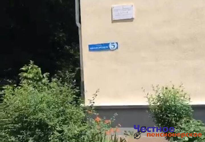 «Приговорены живые и здоровые»: жители Авиагородка в Краснодаре требуют не вырубать 80-летние вязы