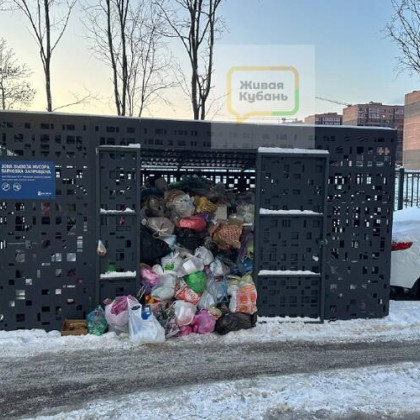 Новороссийск завалило мусором