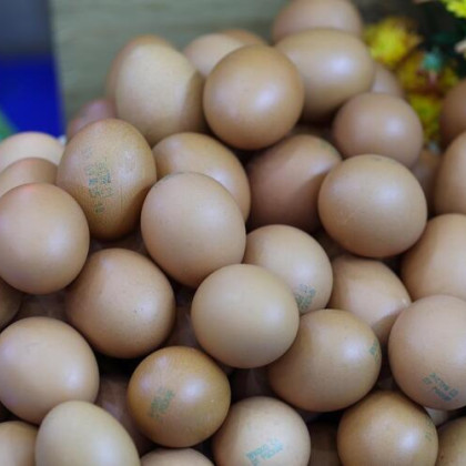 На Кубани цены на яйца рванули вверх перед Пасхой: за неделю продукт подорожал на 3,3 процента
