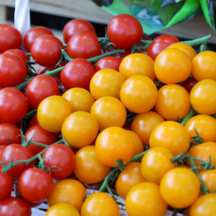 Эксперт поделилась способами сохранить продукты на даче в жару без холодильника