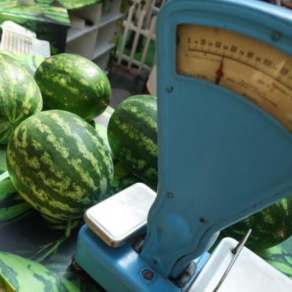 Диетолог объяснила, сколько арбуза можно съесть без вреда для здоровья