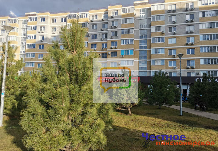 Почему в Краснодаре не надо покупать квартиру дистанционно. «Подводные камни» на самом деле далекого от моря города