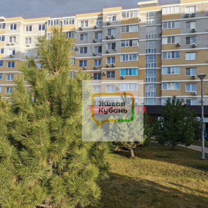 Почему в Краснодаре не надо покупать квартиру дистанционно. «Подводные камни» на самом деле далекого от моря города
