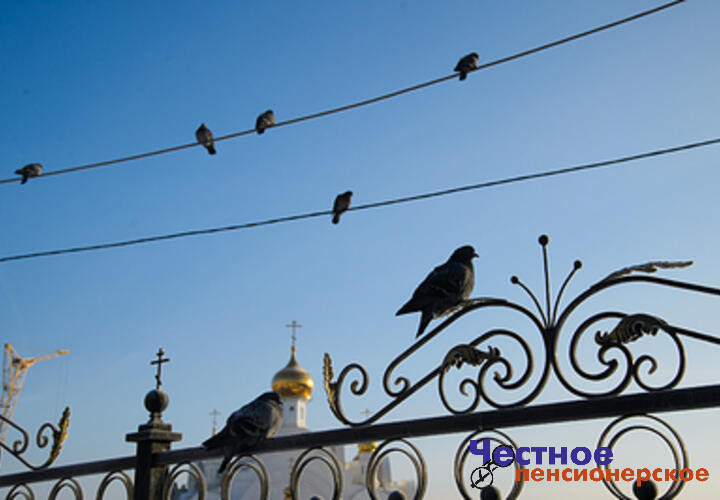 Что можно и чего нельзя делать православным в день памяти Серафима Саровского, 15 января