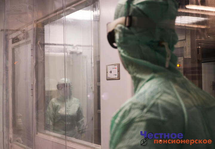 Вирусологи назвали переносчика хантавируса. Встречается ли он на территориях России?