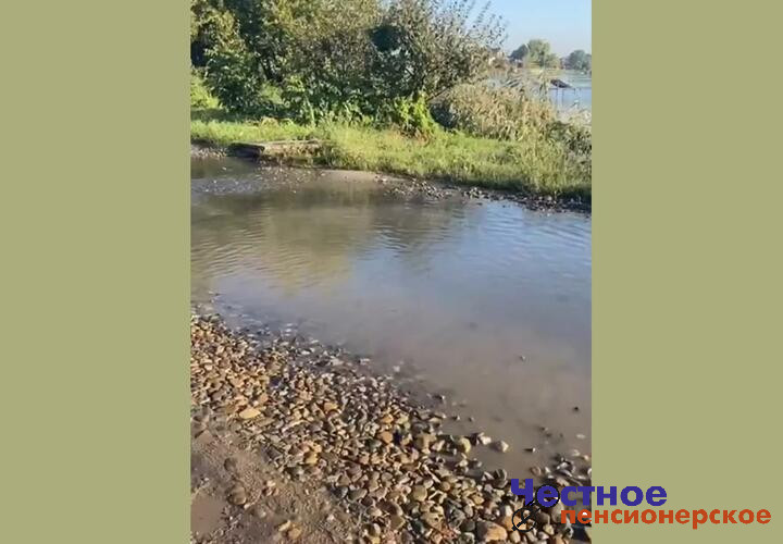 «Это экологическая катастрофа»: в станице Динской сточные воды льются прямо в реку