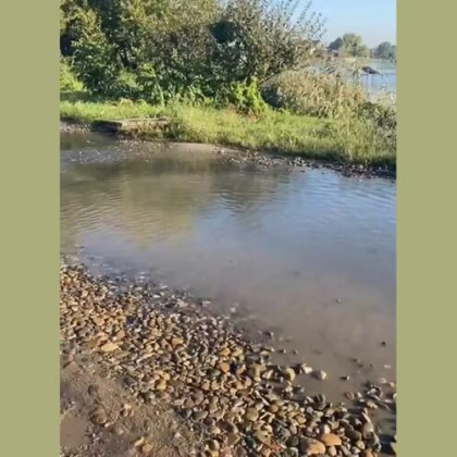 «Это экологическая катастрофа»: в станице Динской сточные воды льются прямо в реку