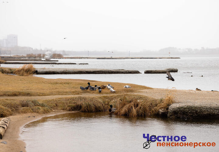 Краснодарское водохранилище наполнилось водой после обмеления