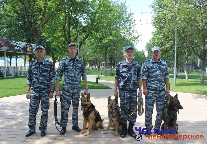 На Кубани пропавшего 77-летнего дедушку пять дней искали в лесу полицейские