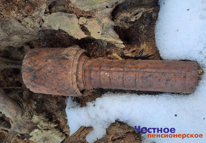 Эхо войны: настоящую боевую гранату нашел турист в Краснодарском крае
