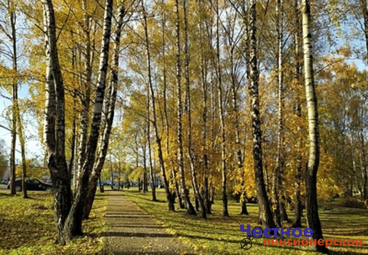 В регионе ожидается дождь, местами - сильный