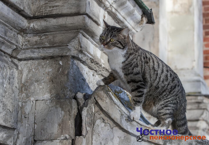 О погоде в Краснодарском крае 3 марта рассказали синоптики