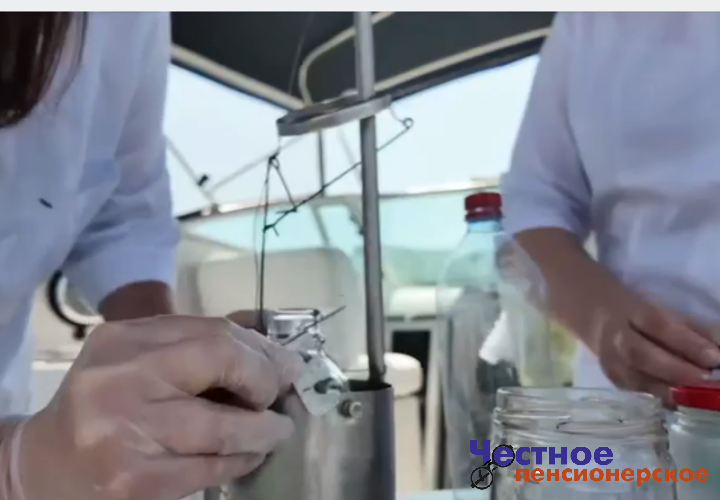 О состоянии морской воды в переполненном туристами Геленджике рассказали специалисты