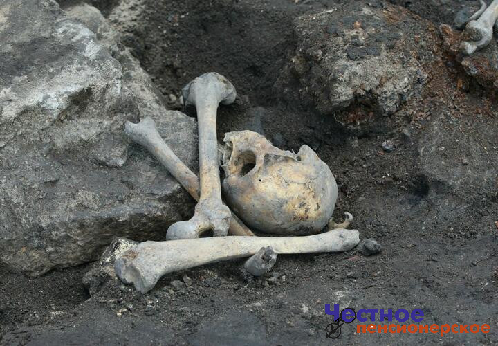 Погребения эпохи средней бронзы нашли археологи под Армавиром