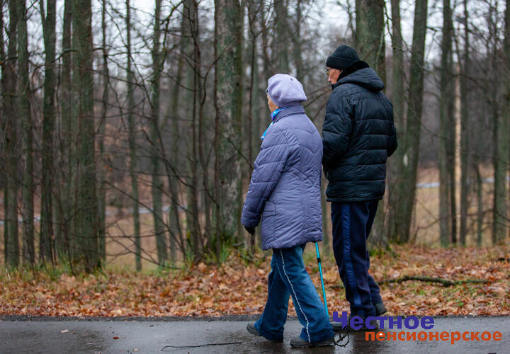 Секрет безопасности от мошенников для бабушек и дедушек