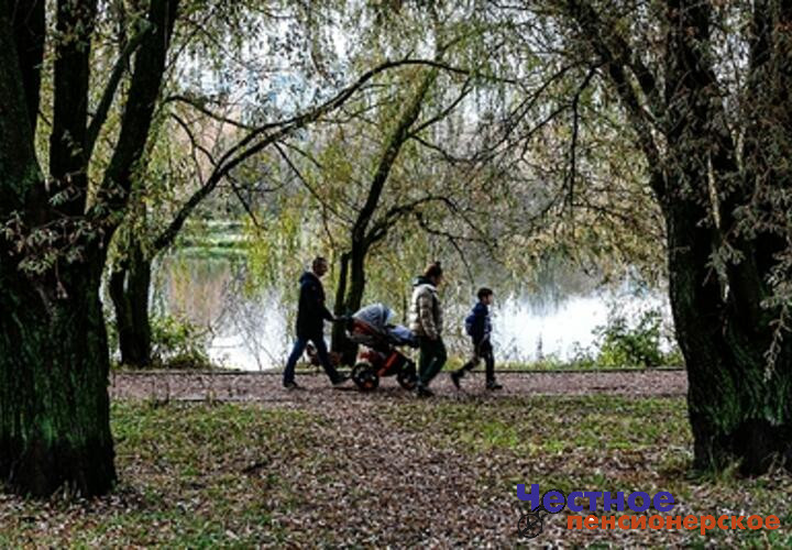 На смену теплу идут дожди и похолодание: синоптики рассказали, какой будет погода на Кубани 3 ноября