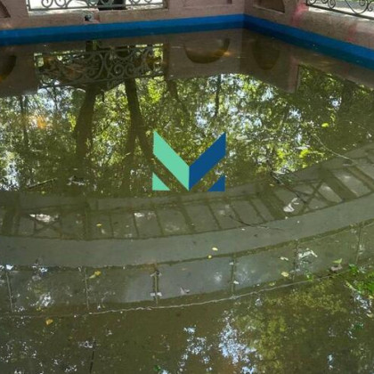 «Состояние крайне плачевное»: краснодарцам ответили на жалобы о загрязненном пруде в Чистяковской роще
