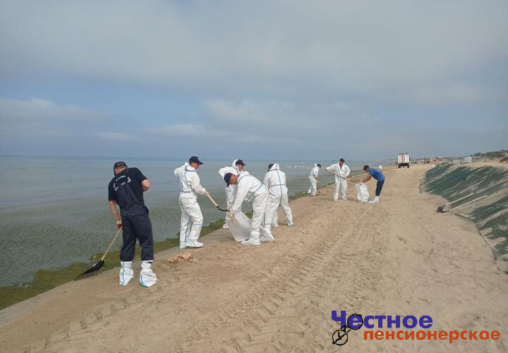 Стало известно, когда могут открыть анапские пляжи