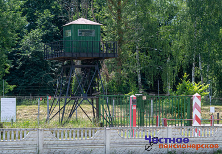 Свой своему поневоле брат: в Госдуме решают, кого считать соотечественниками