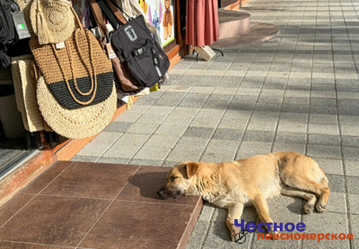 Тепло, но ветрено: синоптики рассказали, какая погода ждёт кубанцев в четверг, 17 апреля
