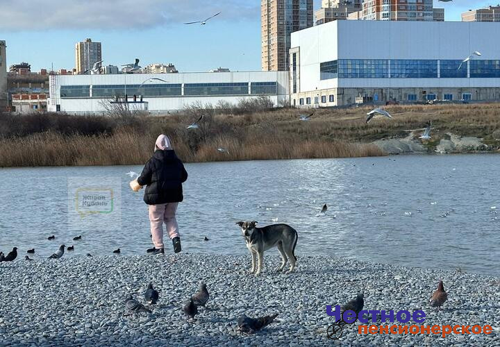 Утром туман и гололёд: о погоде на Кубани 5 февраля