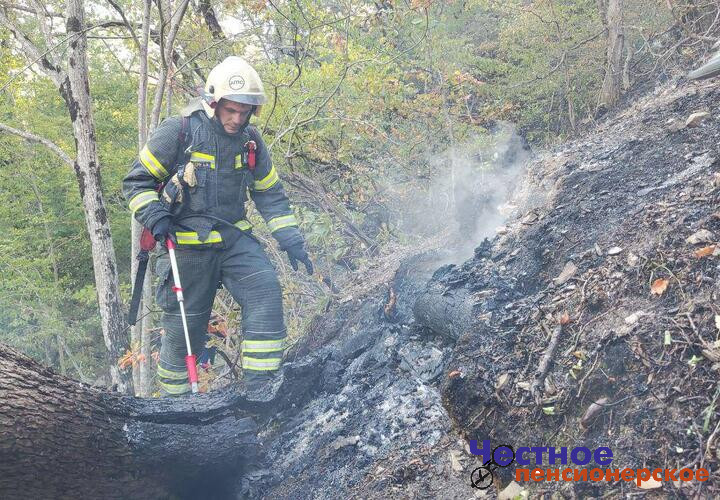 В Геленджике горит 118 гектаров леса