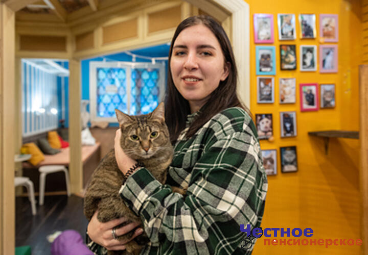 В Краснодаре женщина с котом выиграла суд у риелторской компании, которая не смогла подобрать ей нужный вариант