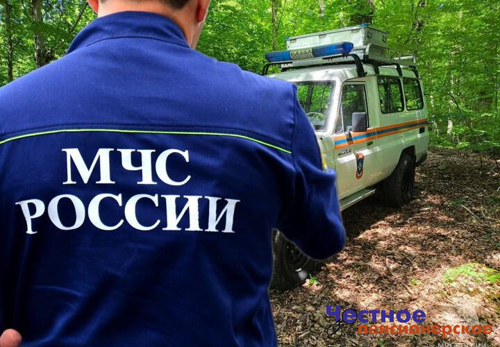 В Сочи спасатели ищут пропавшего пенсионера - грибника