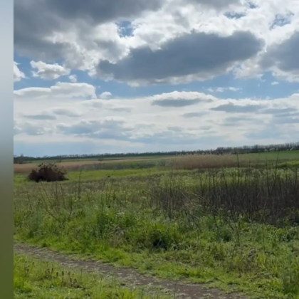 Взрыв прогремел в Тихорецком районе Кубани. Специалисты уничтожили опасную находку