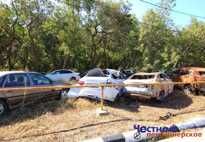 Свалку автомобилей, которая образовалась среди краснокнижных деревьев в Геленджике, ликвидировали