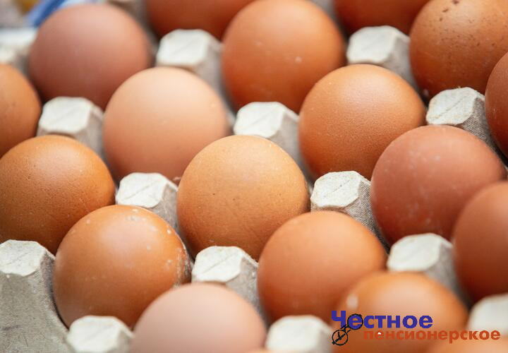 Яйца, хлеб и молоко: какие продукты могут стать дешевле
