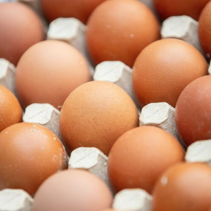 Яйца, хлеб и молоко: какие продукты могут стать дешевле